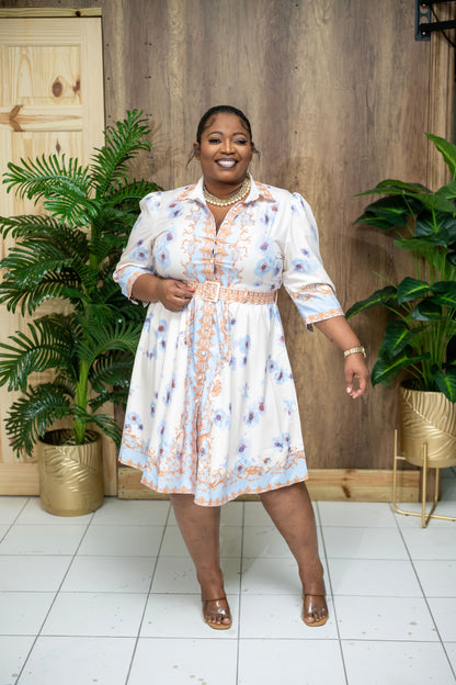 English Garden Dress || Blue- Cream