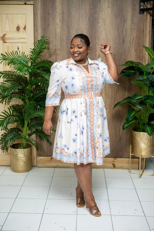 English Garden Dress || Blue- Cream