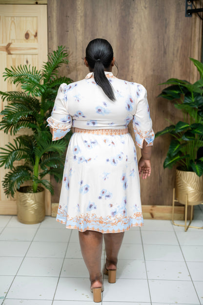 English Garden Dress || Blue- Cream
