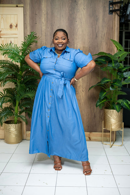 Denim Daydream Maxi Dress