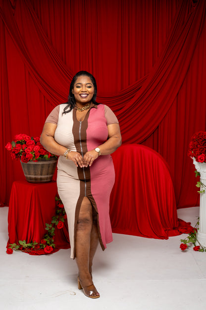 Colorblock Zipper Midi Dress