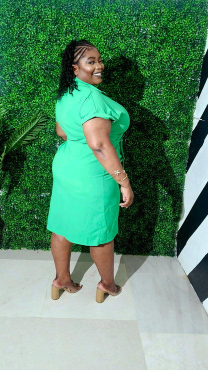 Baley Buttoned Midi Dress || Green Tea