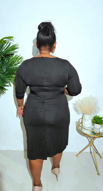 Zebra Two-Tone Belted Dress || Black Brown