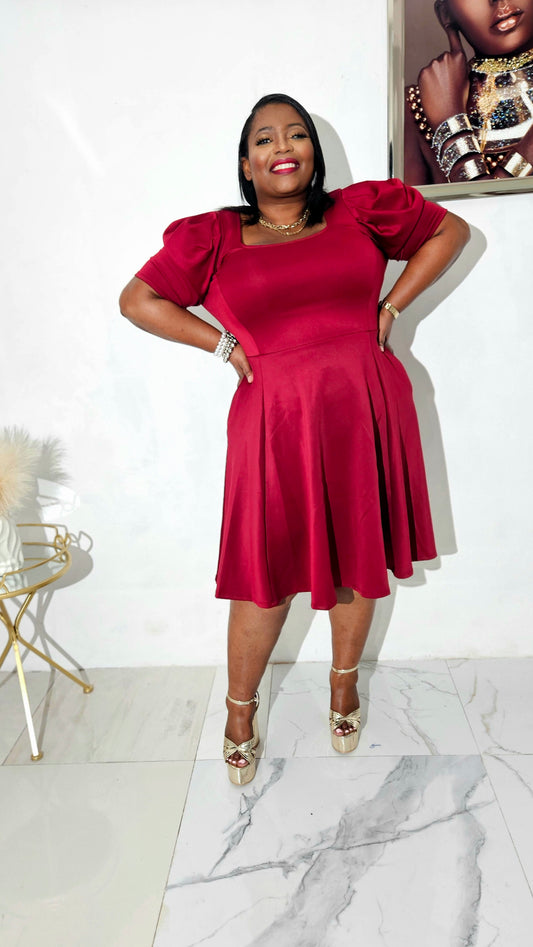 Benefa fit and flare dress | Burgundy