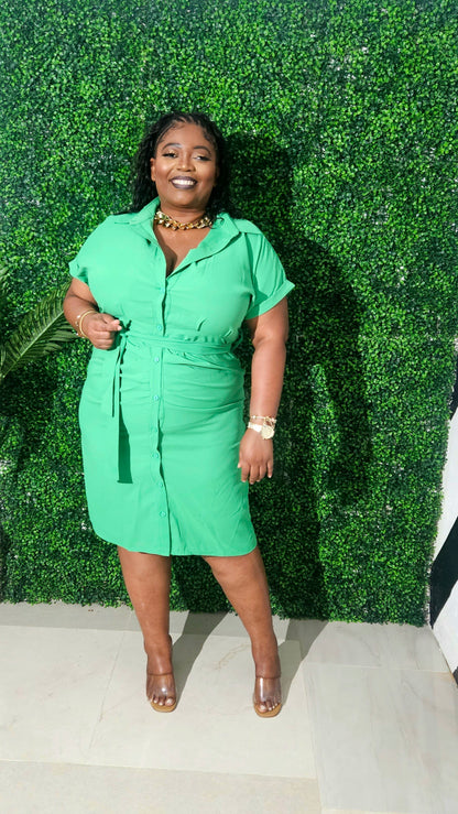 Baley Buttoned Midi Dress || Green Tea